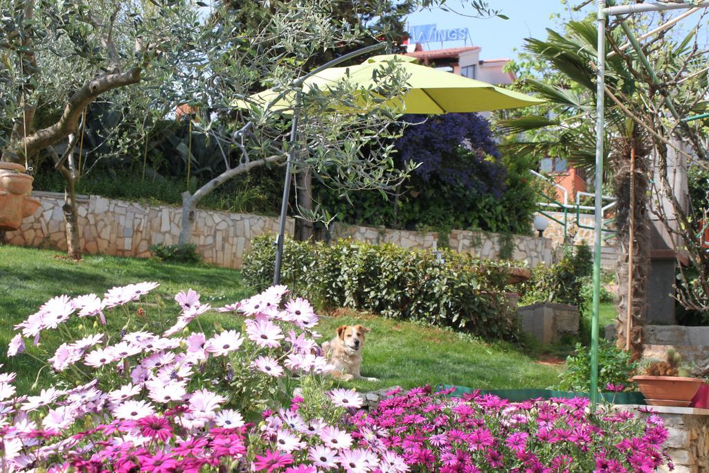 Apartment Iva Πούλα Εξωτερικό φωτογραφία